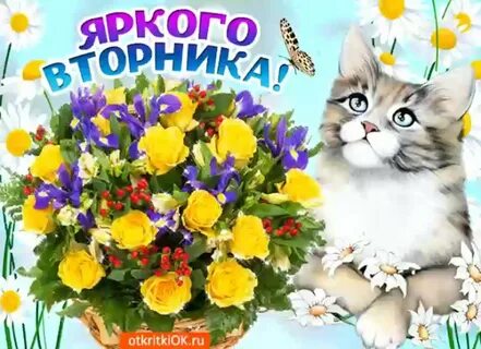 Открытки прекрасного вторника