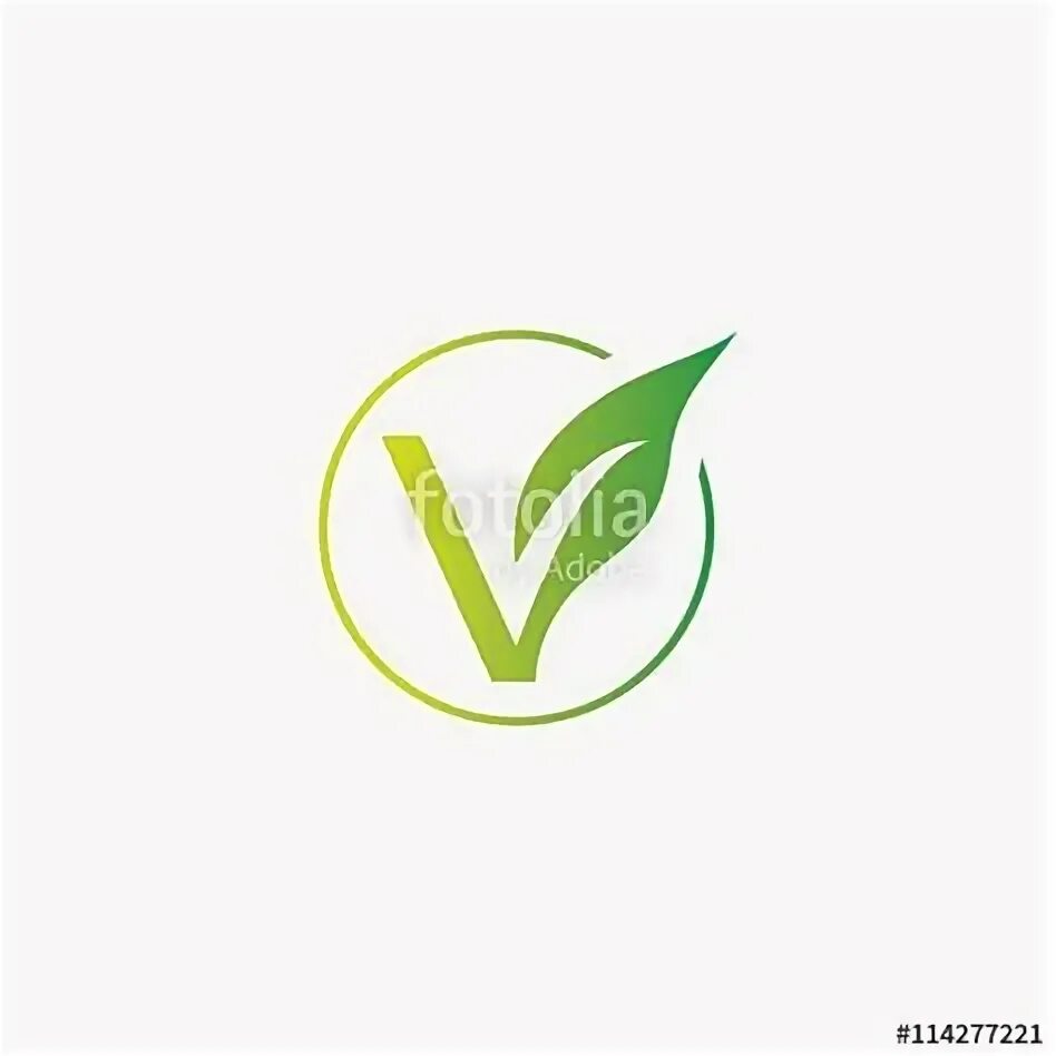 Leaf v. Тополиный лист. Листья на белом фоне. Зеленый лист. Листья цветов.