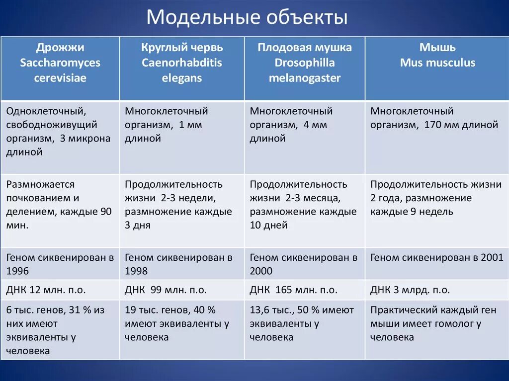 Перестройка генома. Модельные объекты генетики. Модельные объекты в генетике. Модельные объекты в биологии. Модельные объекты в генетике растений..