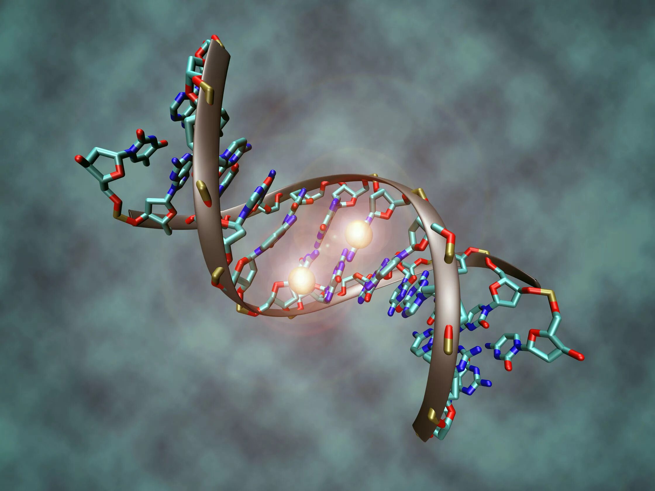 Спираль ДНК И РНК. Макромолекула ДНК. ДНК молекулярная биология. Мутационная ДНК.
