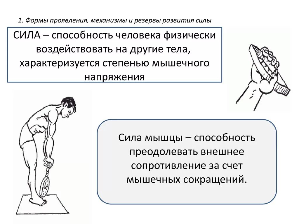 Физиологические механизмы развития силовых способностей. Формы проявления силовых способностей. Формы проявление силы мышц. Формы проявления силовых качеств. Проявить напряжение