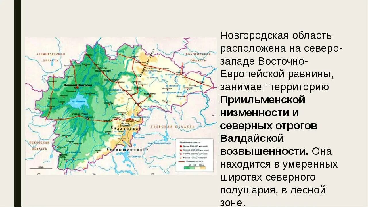 Муниципальные образования новгородской области. Характеристика рельефа Новгородской области. Карта рельефа Новгородской области. Новгородская область географическая характеристика. Формы рельефа Новгородской области.