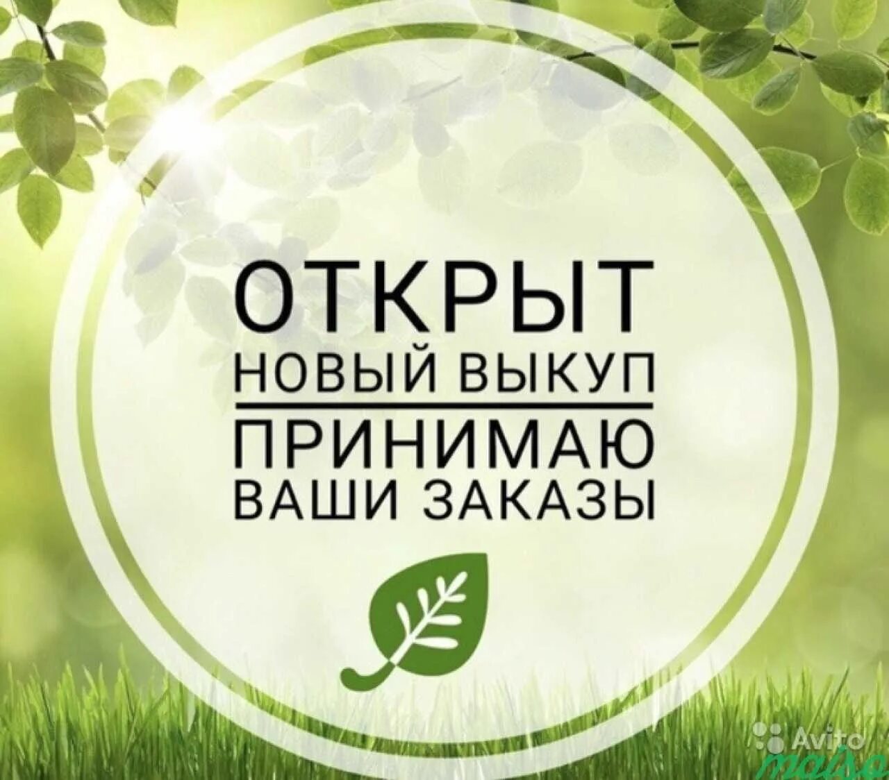 Заказать новый сайт. Открыт сбор заказов. Принимаю заказы. Открытая закупка это. Новый сбор открыт.