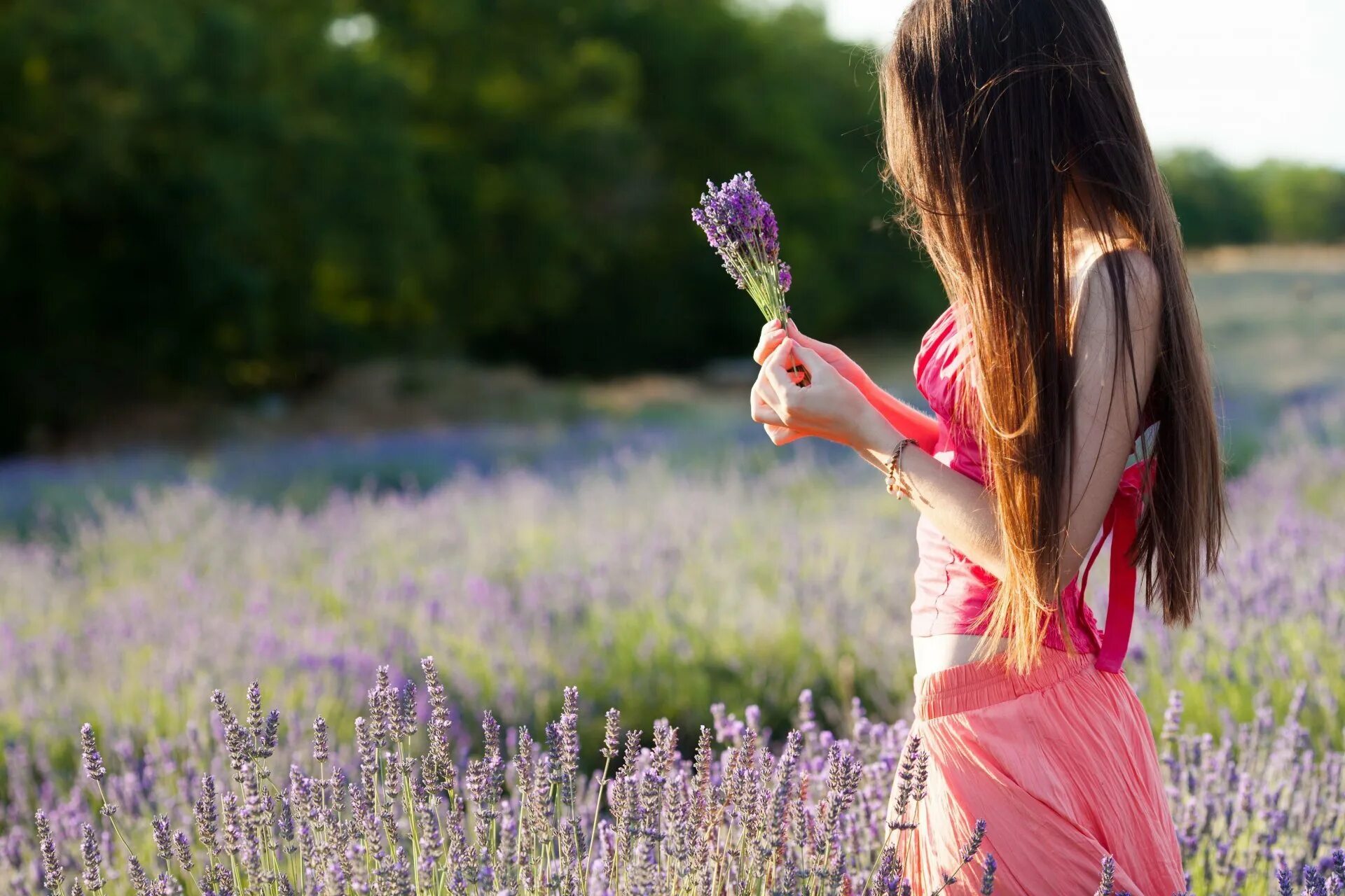 Девушка с цветами. Девушка в поле. Девушка с цветком. Весенняя аватарка на телефон