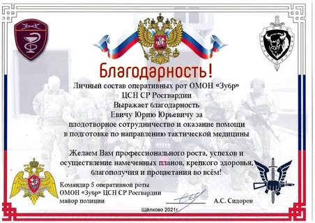 Благодарность защиты