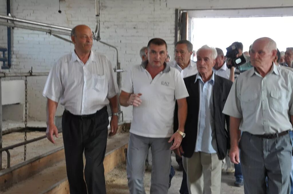 Кфх возрождение ульяновск. Ооо кфх возрождение чердаклинский район. Мартынов ульяновск депутат. Кфх возрождение ульяновск. Ооо кфх возрождение ульяновская область птицефабрика.