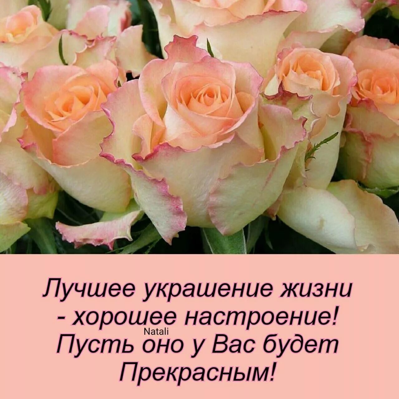 День просто отлично. Лучшее украшение жизни хорошее настроение. Пусть хорошее настроение. Хорошее настроение цитаты. Пусть настроение будет.