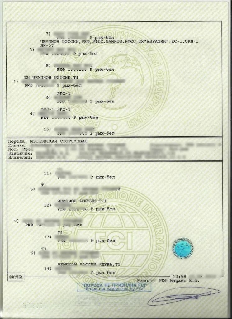 Найти собаку по клейму ркф. Родословная собаки ркф. французский бульдог родословная ркф. паспорт ркф для собаки что это. нулевая родословная ркф.