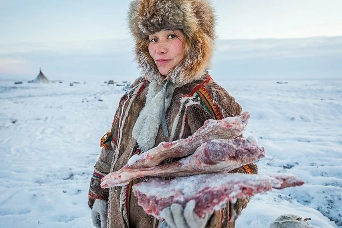 Жизнь на крайнем севере. Сибирские ненцы. Народы крайнего севера России ненцы. Ненцы и чукчи. Чукчи в тундре.