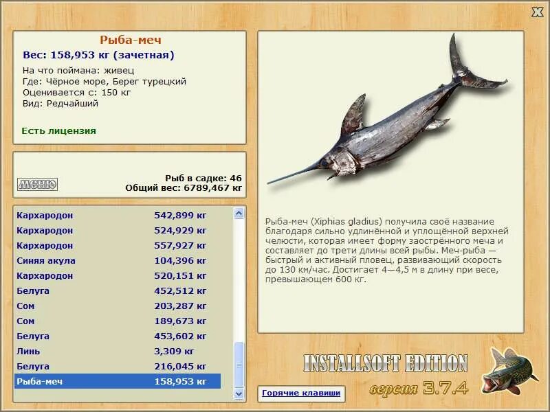 реальная рыбалка рыба меч. где ловят рыбу меч. русская рыбалка черное море рыба меч. русская рыбалка 3 7 5 черное море рыба меч. масса рыбы меч.