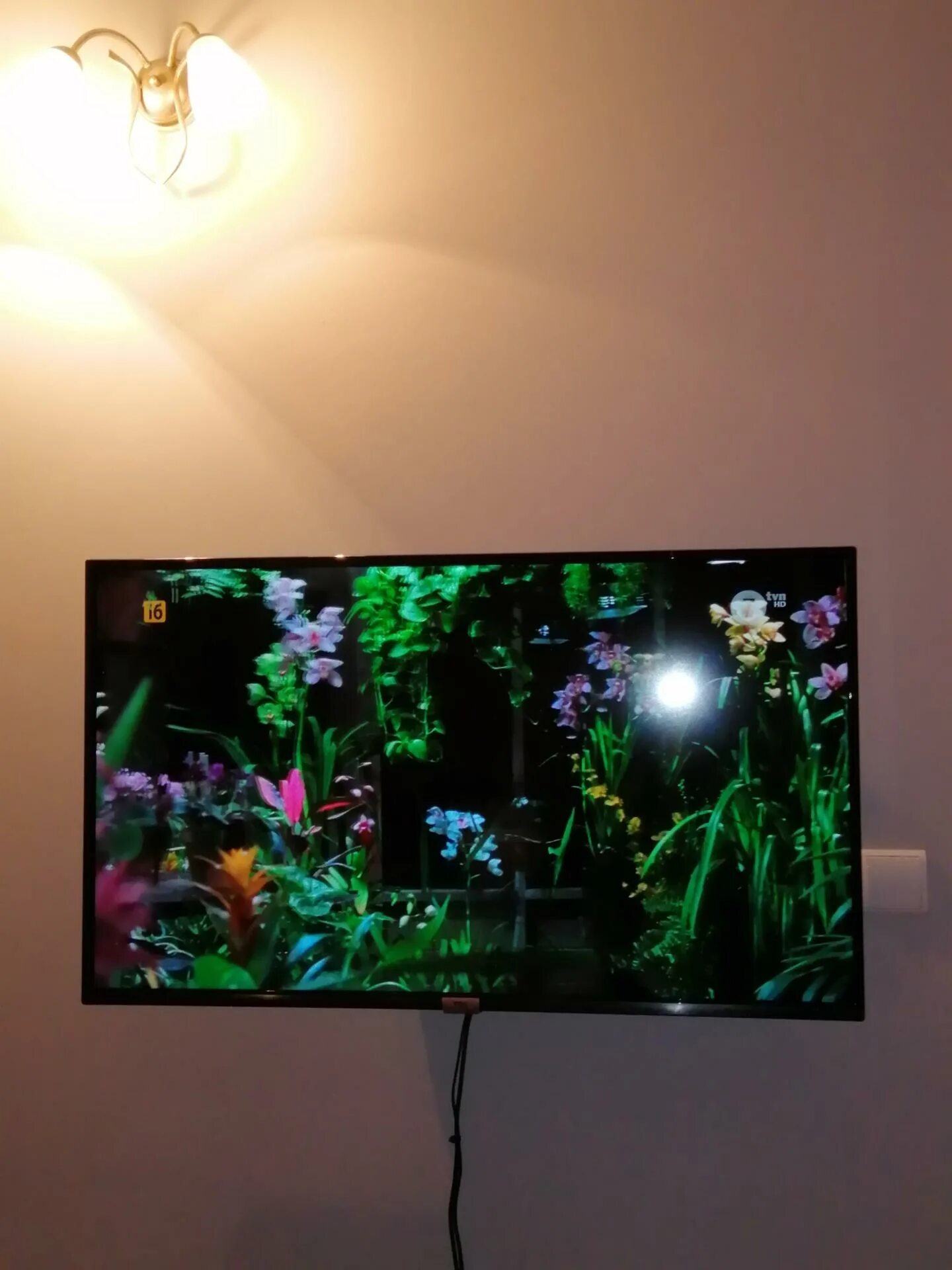 55 tcl 55v6b. Tcl 43p615. tcl 55p615. led tcl 55c735.