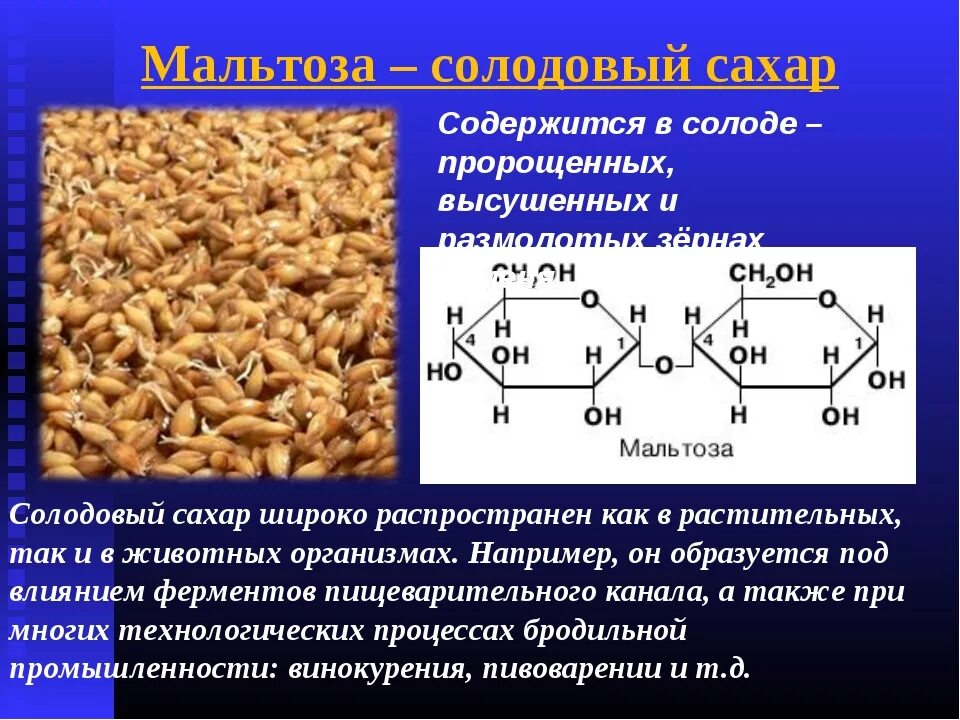 Каким углеводом является сахар. Мальтоза солодовый сахар. Мальтоза биороль. Мальтоза содержится в. Мальтоза это углевод.