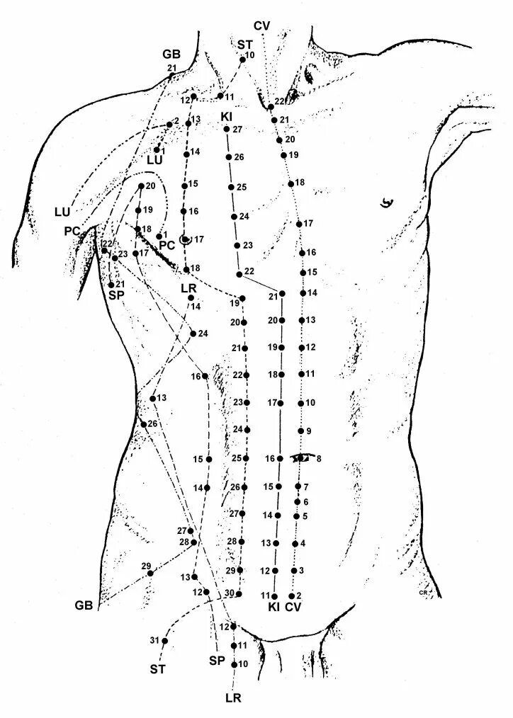 Названия точек человека. Биологически активные точки акупунктуры. Атлас Меридиан спина иглотерапия. Акупунктура меридианы тела человека схема. Акупунктура схема точек.