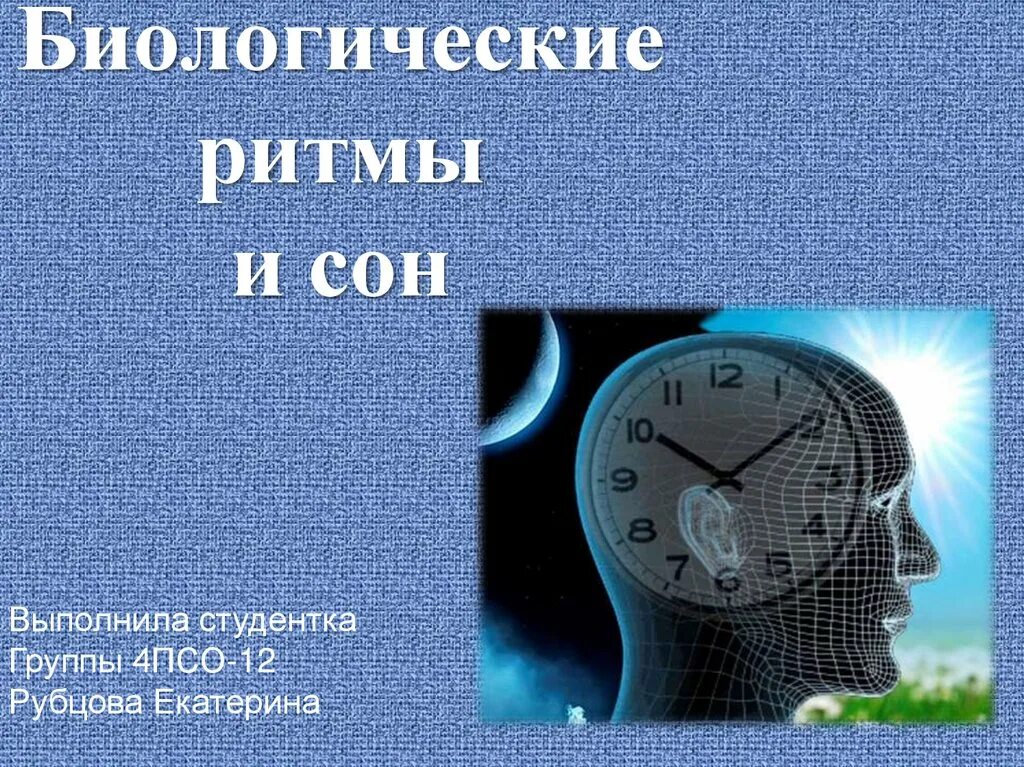 Биологические ритмы сон и его значение