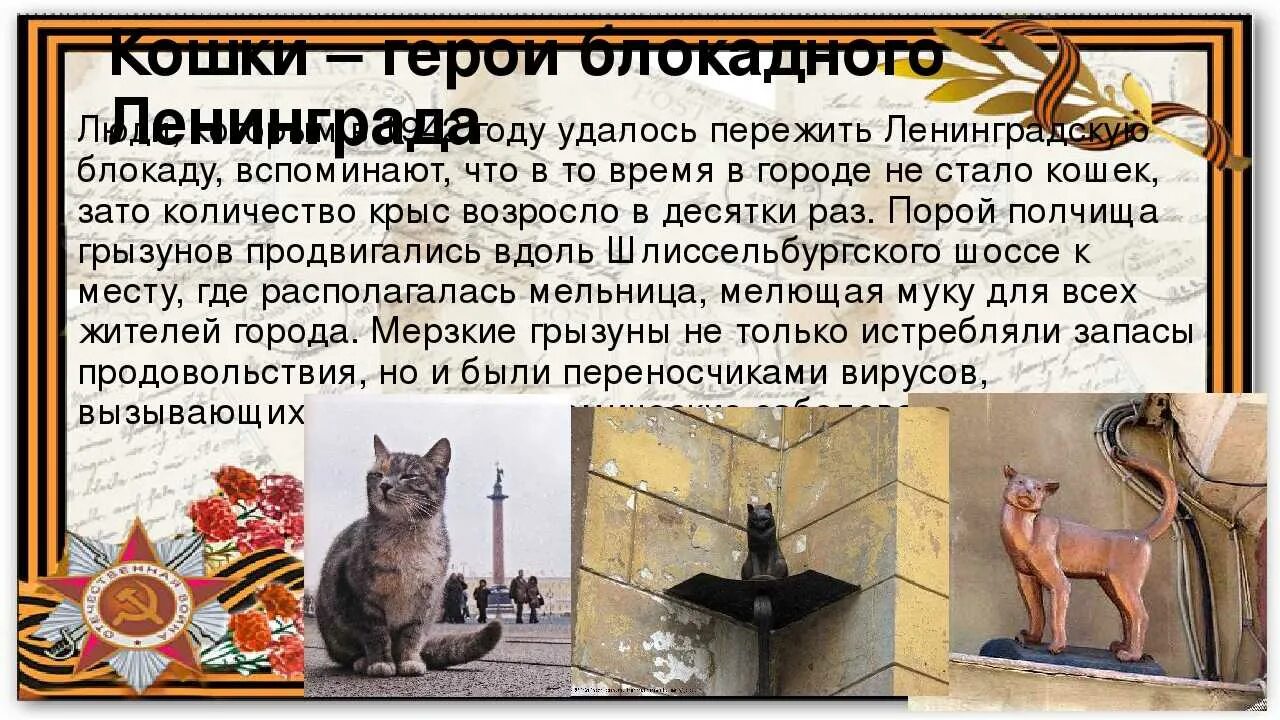 Блокада коту. Кошки герои блокадного Ленинграда. Памятник о кошках блокадного Ленинграда рассказ. Памятник кошке. Памятник кошкам блокады.