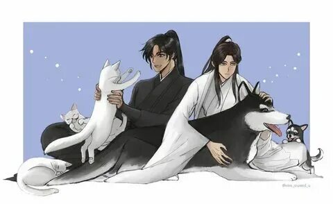 Предзаказ хаски и его учитель. Предзаказ хаски и его учитель. Манга хаски и его учитель белый кот читать маньхуа. Хаски и его учитель белый кот маньхуа. Хаски и его учитель.