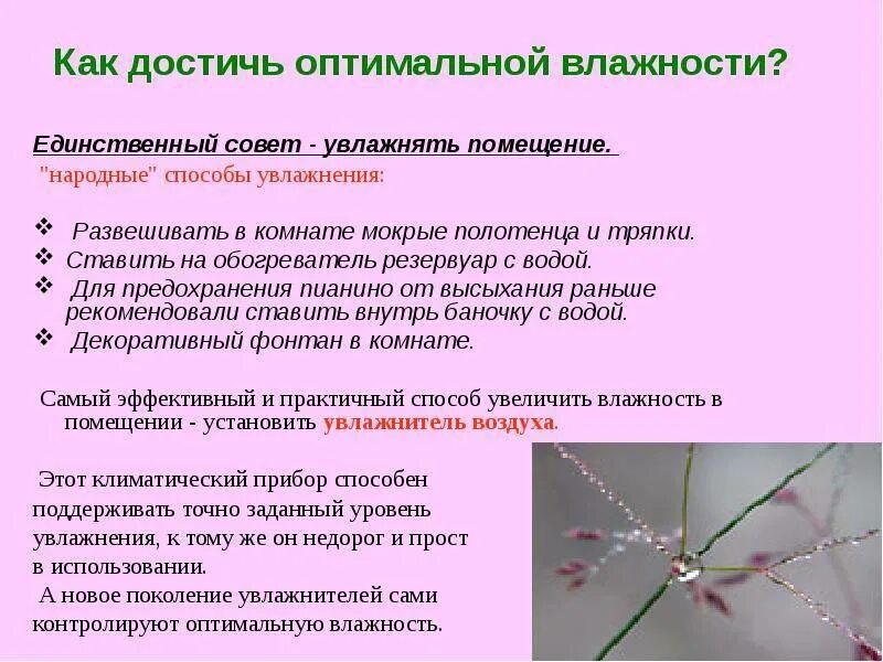 Как повысить влажность. Способы повышения влажности воздуха. как повысить влажность воздуха в помещении. как понизить влажность в помещении. способы понижения влажности воздуха.