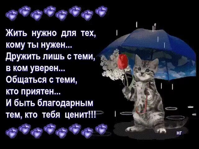 С кем ты хочешь жить милая рассказ. Жить нужно для тех кому ты нужен. жить нужно для тех кому ты нужен дружить. живу для тех кому нужна. живу для тех кому нужна дружу лишь.