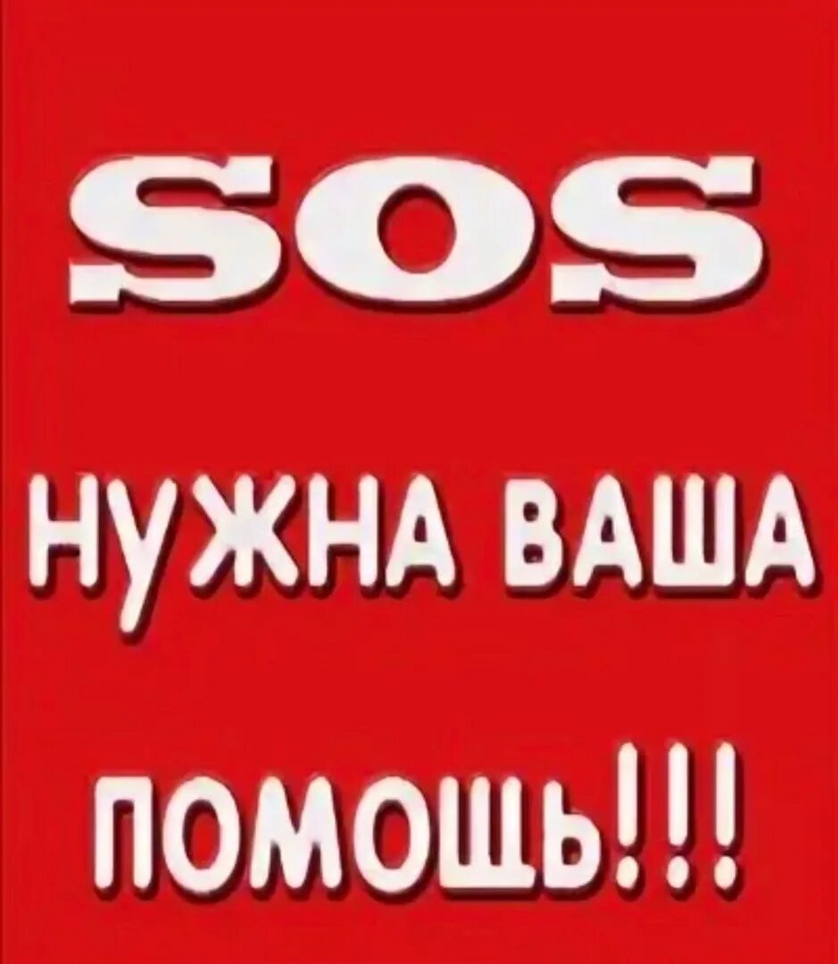 Помогите нужен сайт. Срочно нужна помощь. Нужна помощь. Срочно сос. Сос нужна помощь.