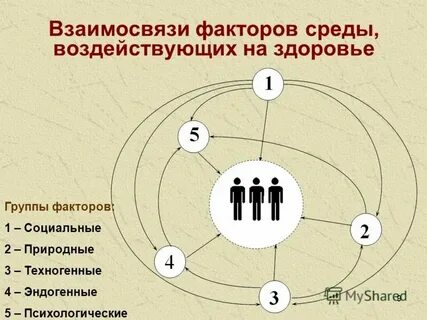Модель взаимосвязи факторов
