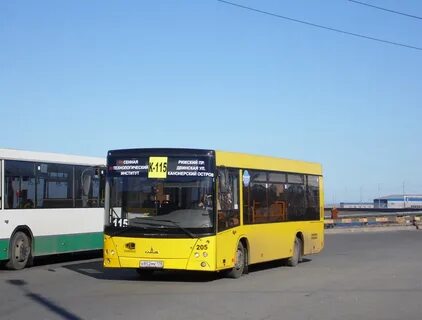 Автобус 205 желтый