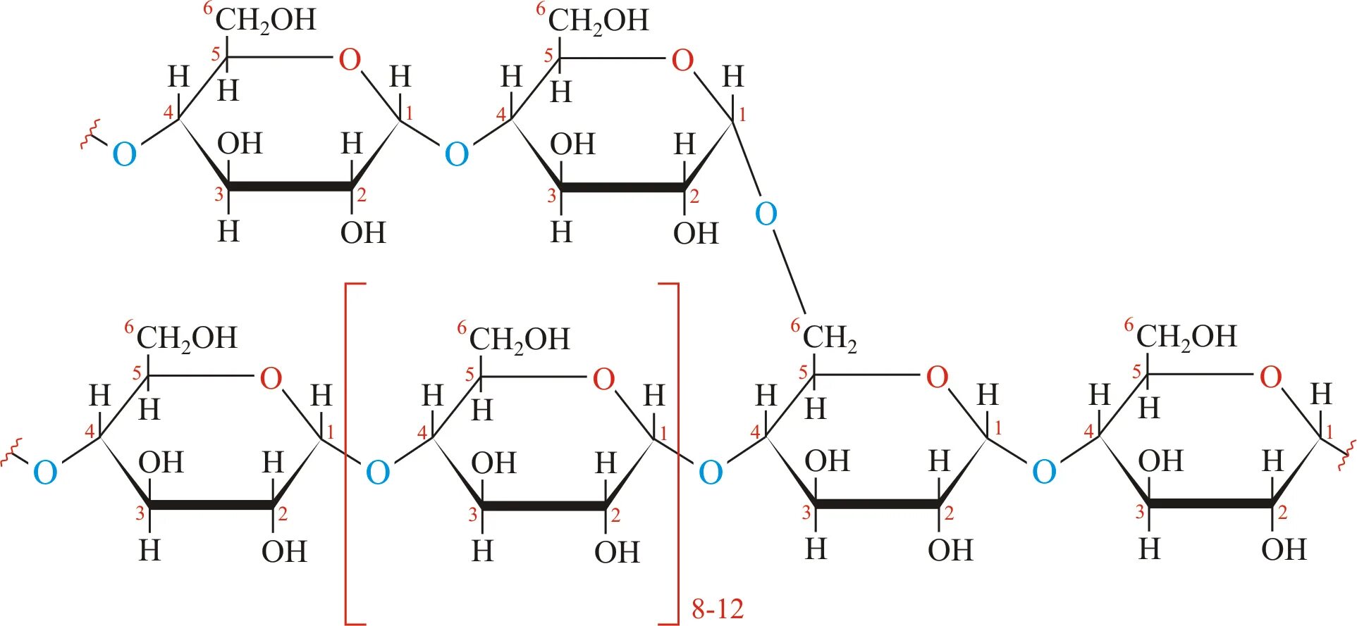 Молекула гликогена формула. Строение гликогена формула. Гликоген структурная формула. Гликоген молекулярная формула. Глюкоген