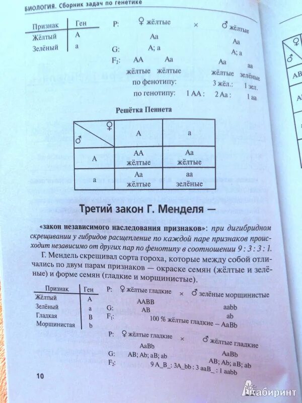 Задачи по генетике. Задачи по биологии. Задачи по биологии генетика. Задачи по биологии по генетике.