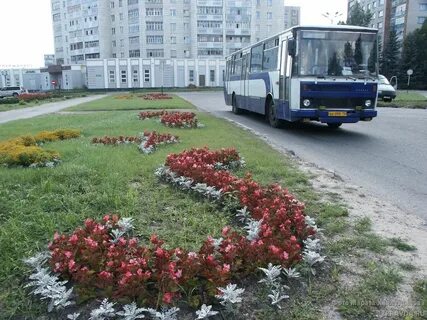 Цветы зеленодольск