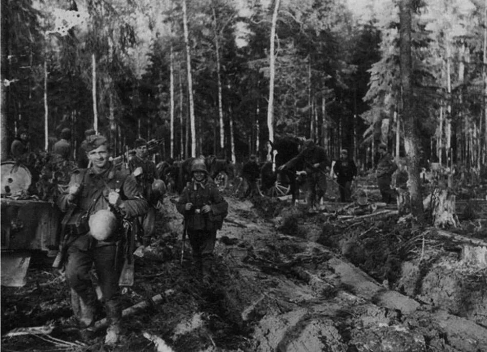 синявинские болота 1942 бои. «болото бор», новгородска яобласть. синявинские болота 1942 бои. волховский фронт 1941 год. дарвинский заповедник торфяные острова.
