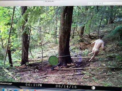 Naughty Caught On Trail Camera from i.redd.it. 