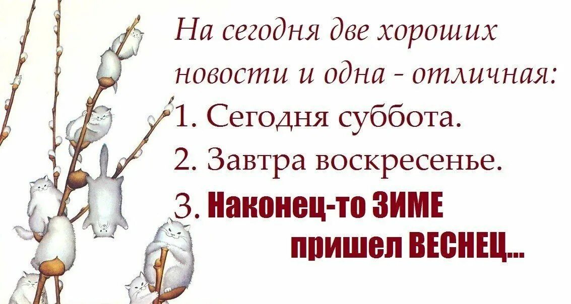 Воскресенье цитаты. Наконец февраля. Здравствуй февраль. Привет февраль. Шутки про зиму и весну.