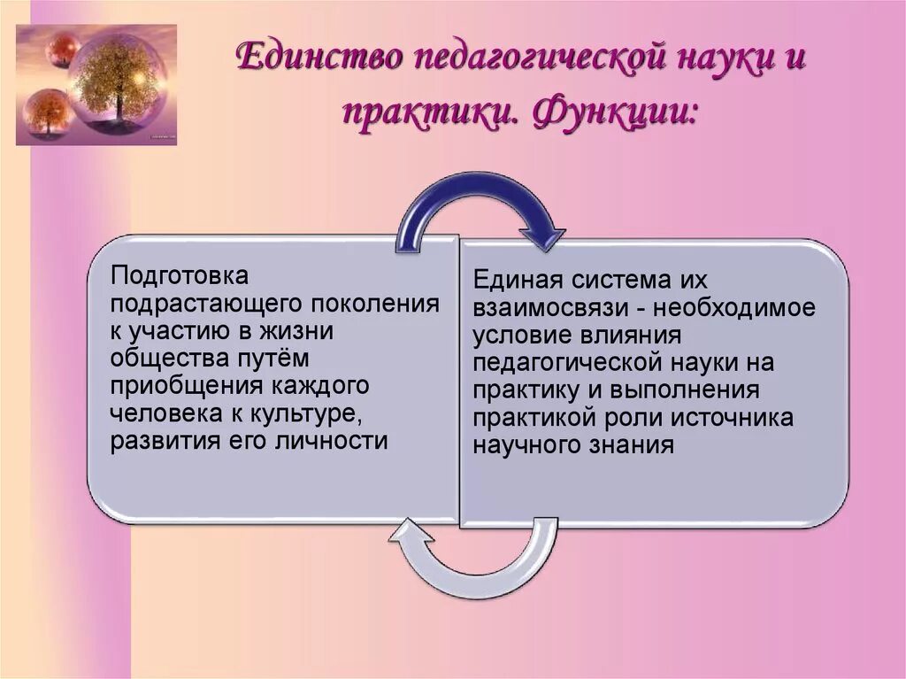 Взаимосвязь педагогической науки и практики. Взаимосвязь педагогической науки и педагогической практики. Различия педагогической практики и исследовательской работы. Взаимосвязь науки и практики в педагогике. Роль педагогической практики