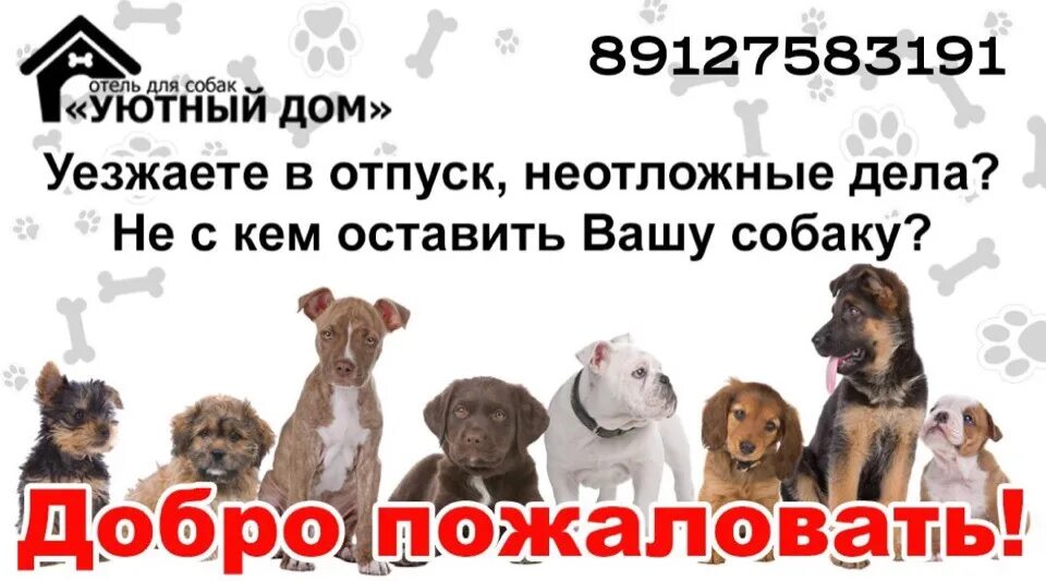 Оставить собаку на 3 дня