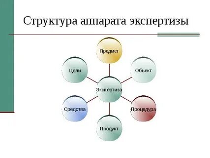 Структура экспертизы