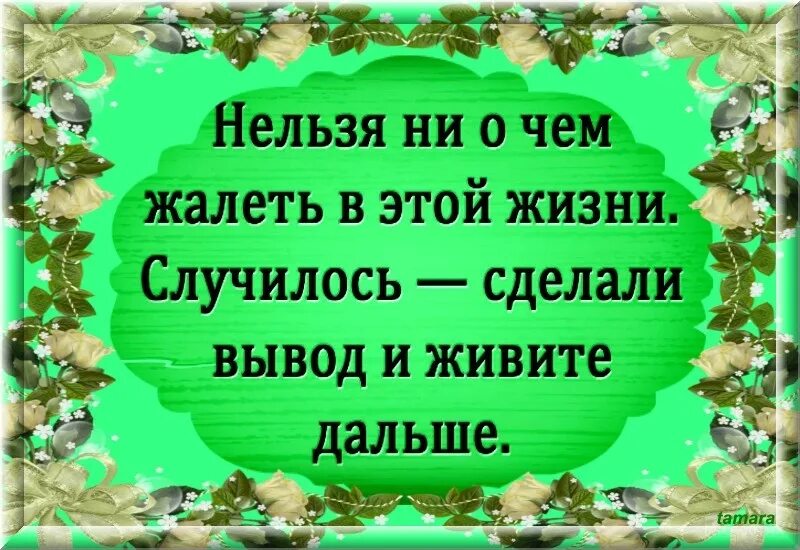 Что жизни натворила никому не разобрать. Нельзя ни о чем жалеть. Сделал выводы и живи дальше. Нельзя ни о чем жалеть в этой жизни. Нельзя ни о чем жалеть в этой жизни сделали вывод.