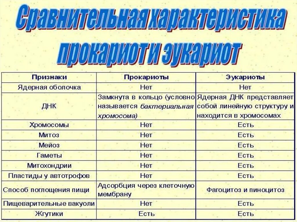 Прокариоты и эукариоты. Сравнение прокариот и эукариот. Эукариоты характеристика. Сравнение прокариот и эукариот на уровне университета. Сравнение клеток прокариотов