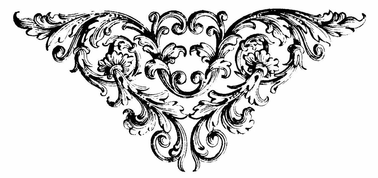 Виноградная лоза орнамент ренессанс. Вензеля. Орнамент барокко. Узоры в стиле барокко. Орнамент вензеля.