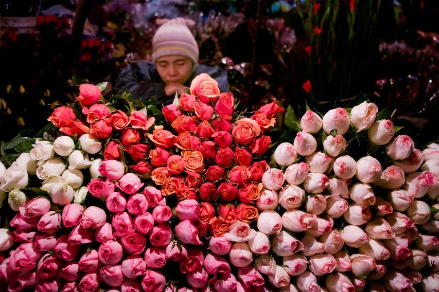 Вьетнамские цветы. Рынок цветов Вьетнам. Рынок цветы Вьетнама. Цветок из Вьетнама. Ханы цветы