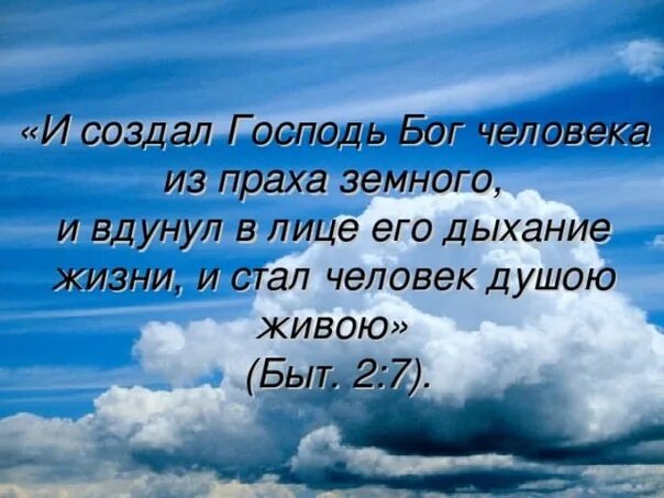 Сказал бог сотворим. И создал Бог человека. И стал человек душою живою. И создал Господь Бог человека из праха земного. Бог сотворил человека.