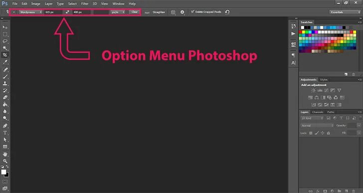 Option menu