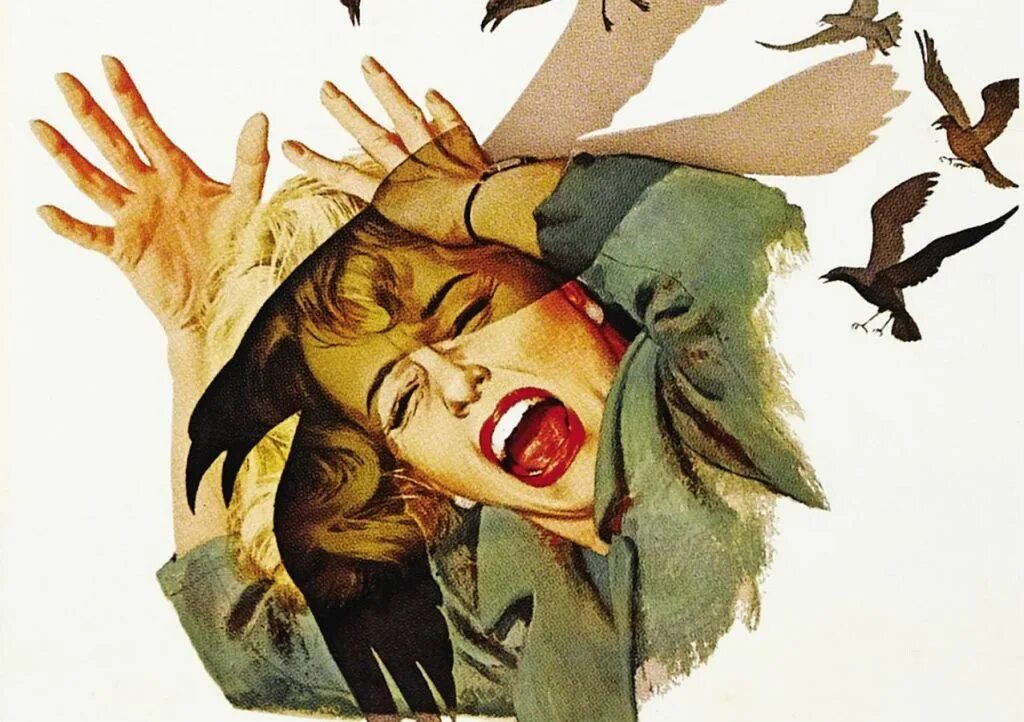 The birds part 1