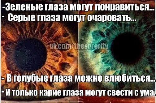 В карие глаза влюбляются. Голубые глаза прикол. Шутка про голубые глаза. Факты о карих глазах.