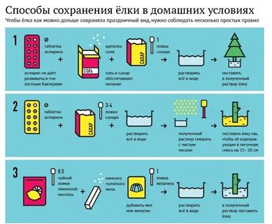 Как сделать чтобы елка долго стояла дома