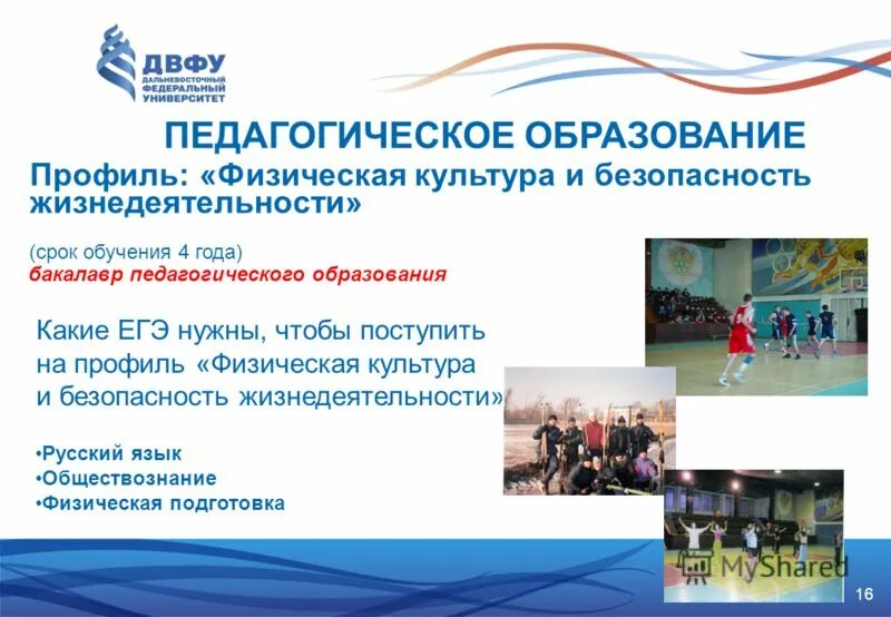 педагогическое с двумя профилями подготовки. направлению подготовки «образование и педагогика». педагог доп образования. требования к доп образованию. направление подготовки педагогика.