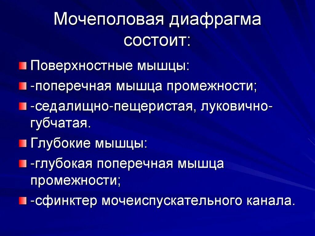 Глубокие мышцы мочеполовой диафрагмы