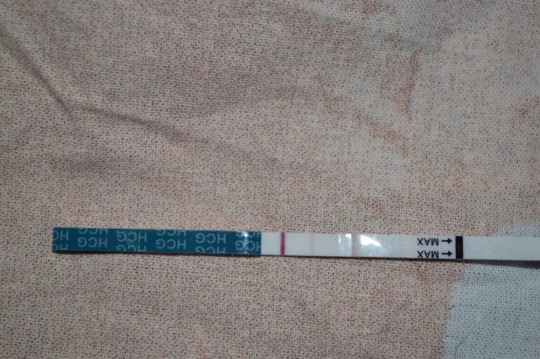 грудь беременной до задержки. цвет сосков на ранних сроках беременности фото. потемнение сосков при беременности. соски беременной на ранних сроках. цвет сосков на ранних сроках беременности фото.