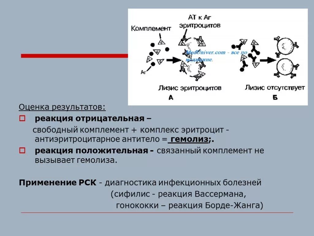 Иммунный гемолиз. Реакция иммунного гемолиза механизм. Гемолиз РСК. Реакция гемолиза микробиология. Оценка реакции связывания комплемента.