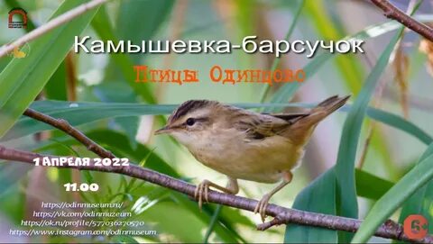 Камышовка на карте