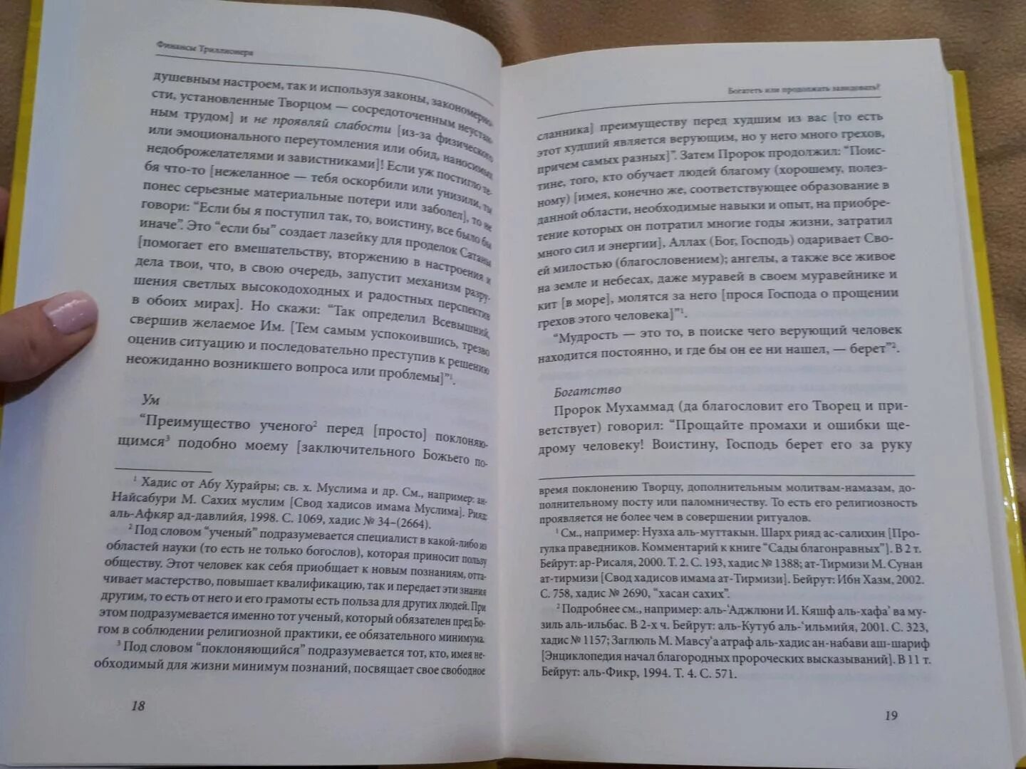 Триллионер из трущоб читать полностью. Триллионер действует книга.
