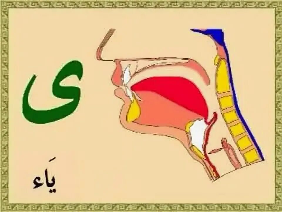 Сыфаты арабских букв таблица таджвид Pin em عربي